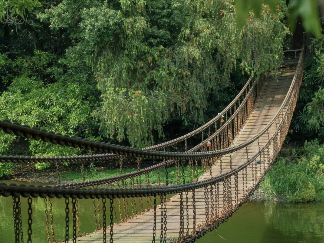 週末唔知去邊？深圳公園大自然親密接觸，【暑假遛娃好去處】【情侶拍照好去處，隨便都可以出大片】【i人絕佳棲息地】