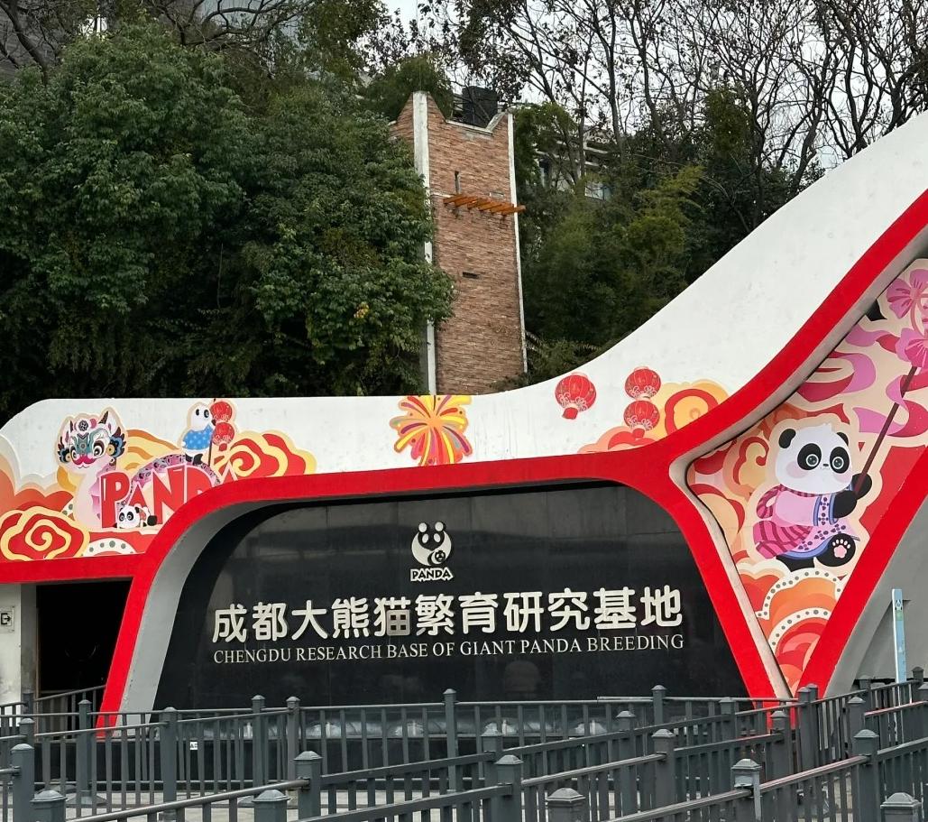 收藏⭐️成都大熊貓基地超詳細攻略！限定治愈，每只熊貓都有專屬 「萌點」等你來解鎖~
