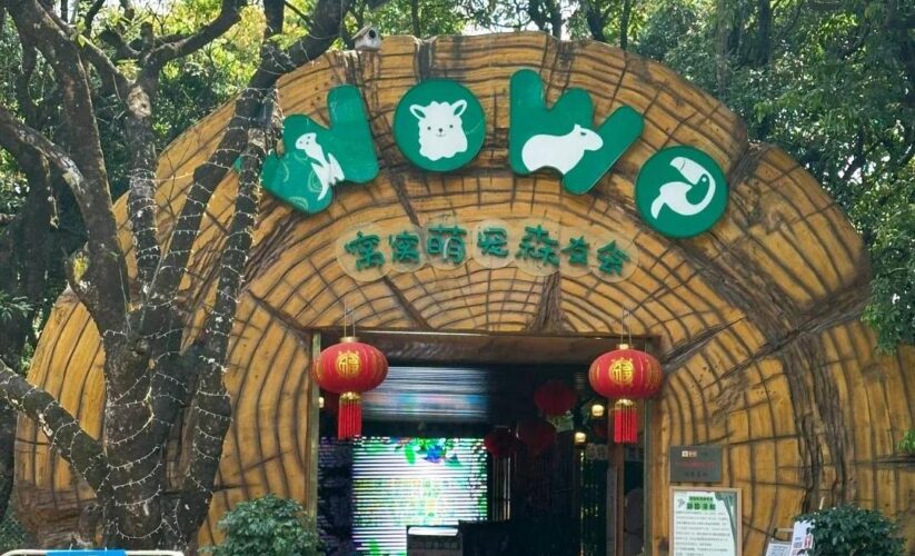 深圳零距離接觸的動物園！就在深圳世界之窗！太適合帶小朋友去啦！