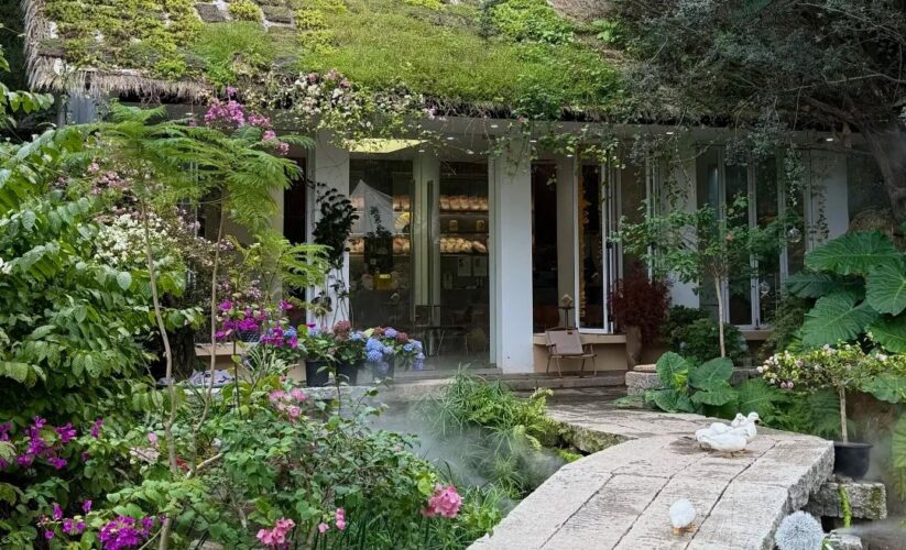 深圳新發現✨園博園裏的莫奈花園，推門皆是盎然綠意，仿佛闖入油畫裏~還有可愛的小動物在線營業！