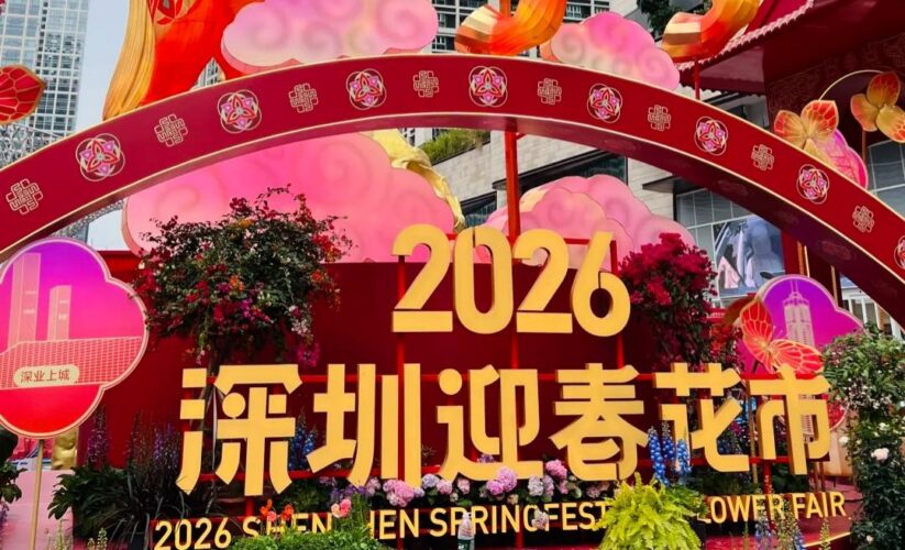 2026 深圳迎春花市超全攻略來啦！新春腳步漸近，深圳各區花市官宣已就位，絕對不能錯過！