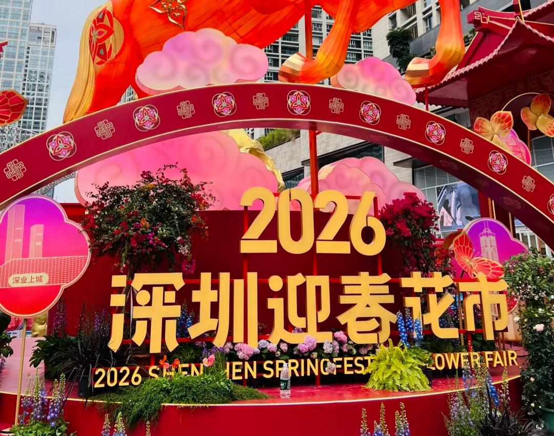 2026 深圳迎春花市超全攻略來啦！新春腳步漸近，深圳各區花市官宣已就位，絕對不能錯過！