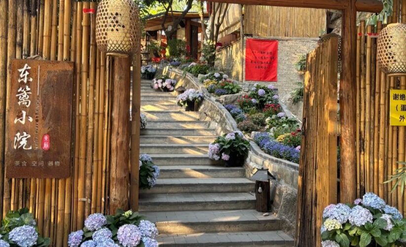 隱藏在深圳沙井鬧市中的寶藏小院——東籬小院，適合發呆的有風小院🍵好治愈~~