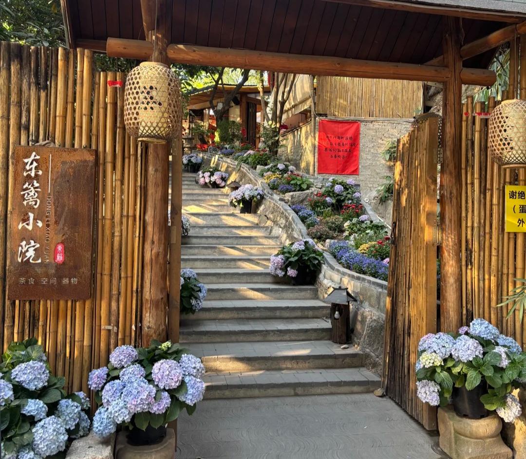 隱藏在深圳沙井鬧市中的寶藏小院——東籬小院，適合發呆的有風小院🍵好治愈~~