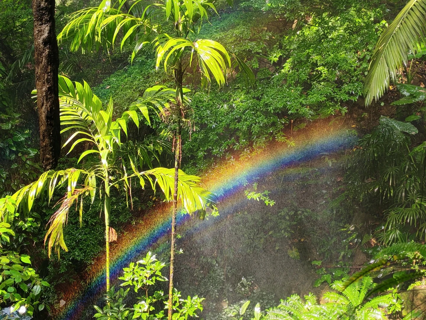 周末不想跑太遠，又想親近大自然？📍深圳南山【青青世界｜深圳小森林】仿佛置身熱帶雨林的天然氧吧